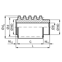 Hohlschnecken aus Stahl, zweigängig rechts, Modul 3 und 4, Technische Zeichnung