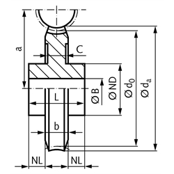 Schneckenräder aus Bronze, eingängig rechts, Modul 2, Technische Zeichnung
