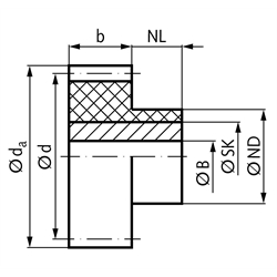 Stirnzahnräder Kunststoff PA 12 G mit Edelstahlkern, Modul 2,5, Technische Zeichnung
